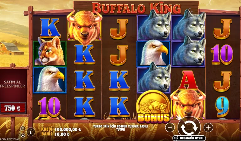 Buffalo King review: MostBet-də və demo rejimdə bu vəhşi ov temalı slot necə oynanır?