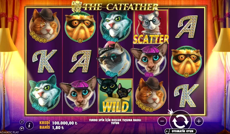 The Catfather slot icmalı: MostBet-də Pragmatic Play istehsalı pişik mafiyası atmosferi