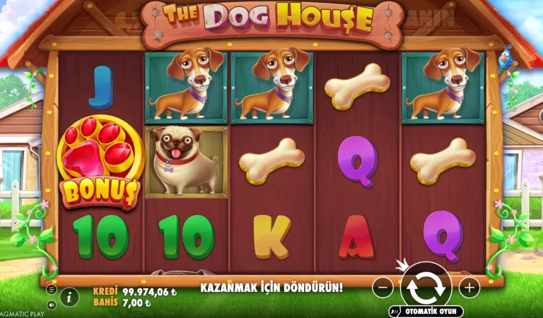 The Dog House slot reviewi — MostBet-də fun, gərginlik və sticky wild ritmi